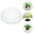 thumbnail image 3 of EeaseCA Glass Planter Pot Glass Succulents Pot Small Flowerpot Small Planter Container Clear Fish Bowl, 3 of 8