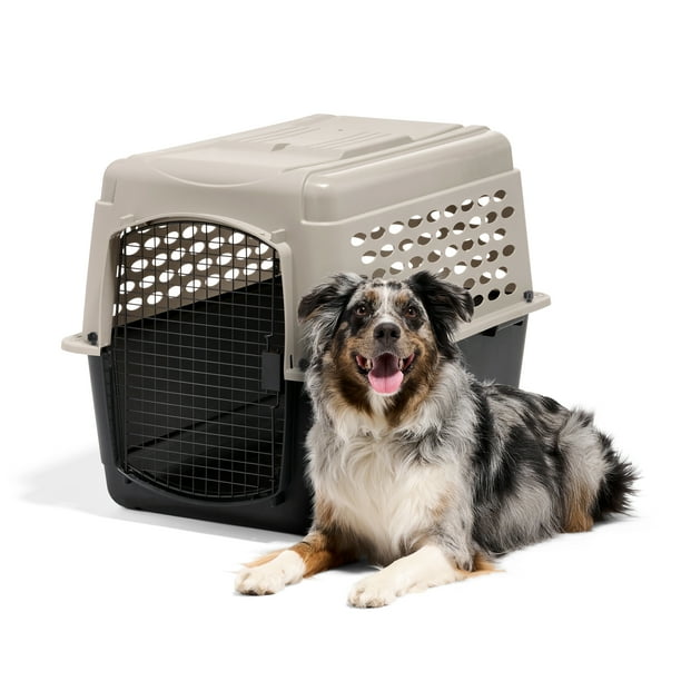 Petmate Vari Medium Plastic Portable Dog Kennel Airline Friendly