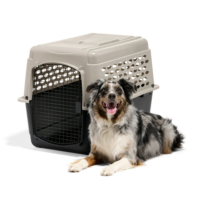 Petmate Vari Petmate Airline Cargo Crate Medium Petmate Vari