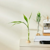 Inerposs Bamboo Holders Hydroponic Vase, Decorative Flower Pot for Home, Living Room Decor, Office Plant Arrangement, Stylish Indoor and Outdoor Planter