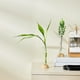 thumbnail image 1 of Maceta Hidropónica de Bambú con Diseño Geométrico de Plástico Blanco y Orificios de Ventilación | Maceta Decorativa Ligera y Duradera para El Hogar, La Oficina, La Sala de Estar, El Comedor y El Estu, 1 of 6