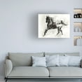 thumbnail image 2 of Trademark Fine Art Ethan Harper Rustic Appaloosa Ii Canvas Wall Art - 18x24, 2 of 5