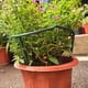 thumbnail image 5 of Anillo de soporte para plantas semicircular, soporte de jaula de plástico para plantas, maceta, enrejado trepador para plantas pequeñas, flores, vegetales, plantas de interior, 5 of 7