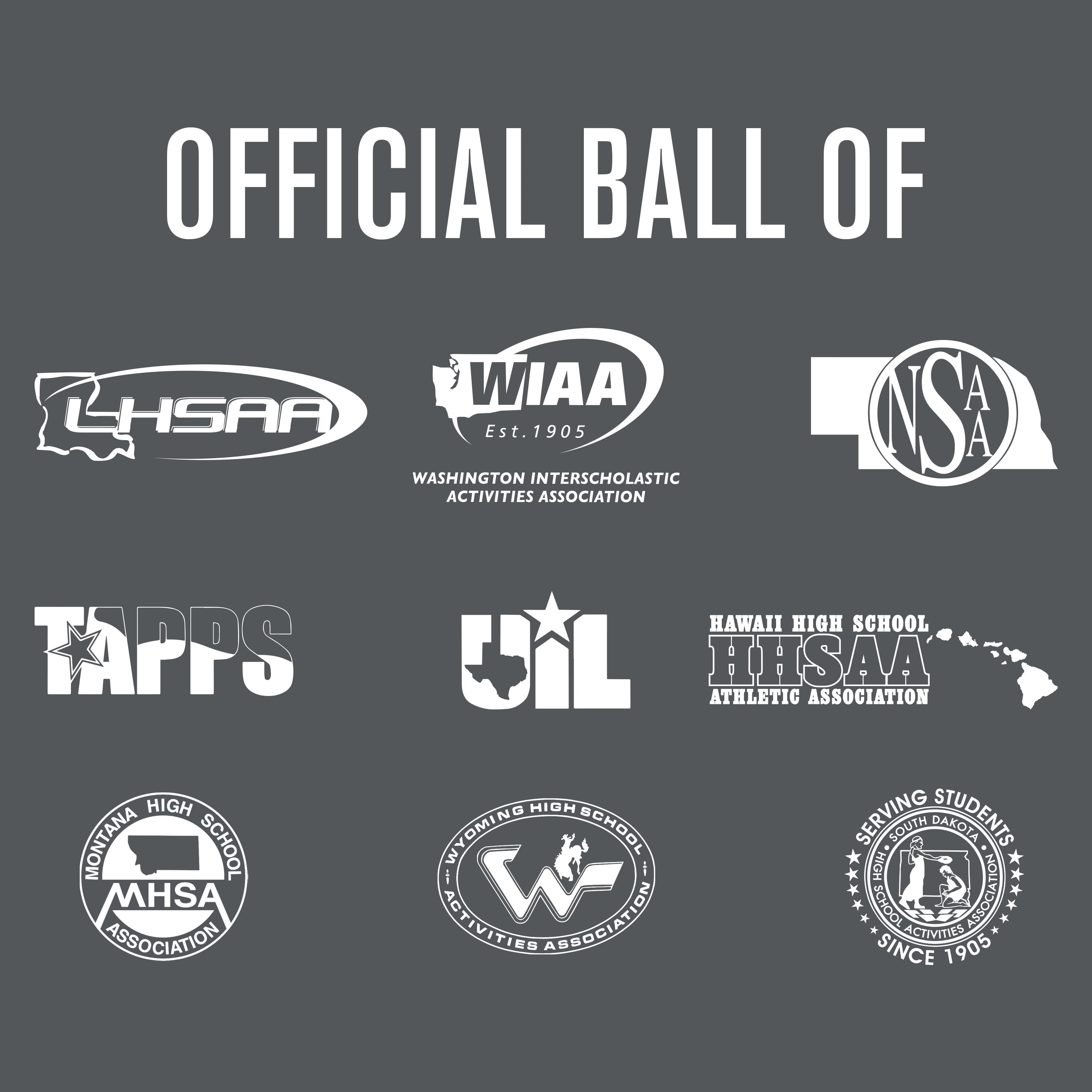 Elite Pro Official Game Basketball NFHS Stamped
