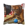 thumbnail image 1 of RYLABLUE Brown Animal Ridgeback Circus Actor Wearing Eyeglasses Red Big Canine Clever Close Dog Pillowcase Cover 20x20 inch, 1 of 1