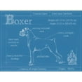 thumbnail image 2 of Harper, Ethan 14x12 Gold Ornate Wood Framed with Double Matting Museum Art Print Titled - Blueprint Boxer, 2 of 4