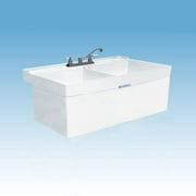 E.L. Mustee & Son Utilatwin 40'' x 24'' Wall Mounted Laundry Sink
