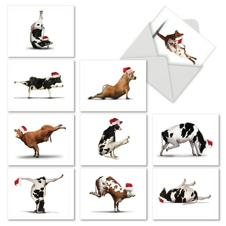 10 assorted 'holiday bovine nirvana' christmas cards with envelopes 4 x 5.12 inch, blank seasonal greeting cards for kids and adults, funny animated cows doing yoga in santa hats