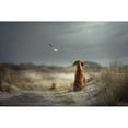 thumbnail image 3 of Willers, Heike 14x11 Black Modern Framed Museum Art Print Titled - Freedom (Ii), 3 of 5