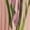 Pinkish-purple, variant on Women Square‑Neck Sleeveless Blue‑Iris Floral Print Belted Pleated Flowy Maxi Dress, Elegant Casual Summer Long Dress