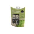 thumbnail image 1 of Seed Plugs- Iceberg Lettuce (6/PKG), 1 of 1