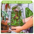 thumbnail image 6 of NCYP Close Geometric Glass Enclosure Terrarium with Vent Holes for Insects, Home Gardening, 6 of 11