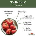 thumbnail image 5 of Burpee Organic Delicious Tomato Vegetable Seed, 1-Pack, 5 of 6