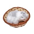 thumbnail image 1 of KAKOWELY Cesta de simulación de gato, juguete de peluche creativo, divertido adorno de escritorio para el hogar y la sala de estar (estilo aleatorio)., 1 of 5