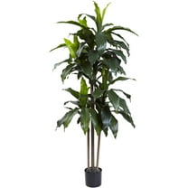 Nearly Natural 5' Dracaena Plastic Artificial Plant UV Resistant (Indoor/Outdoor), Green