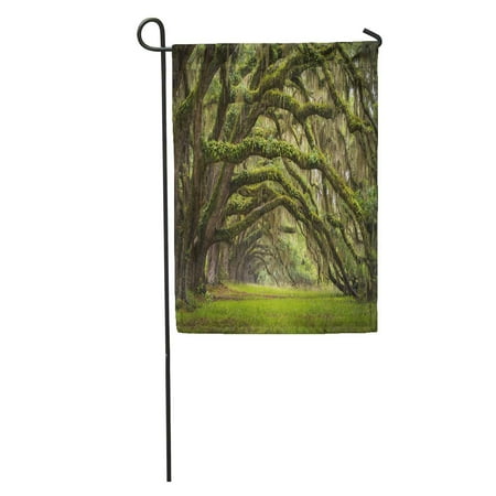 - LADDKE Oaks Avenue Charleston Sc Plantation Live Trees Forest Landscape in Ace Basin South Carolina Lowcountry Garden Flag Decorative Flag House Banner 12x18 inch