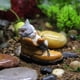 thumbnail image 4 of de animales para niños, juguetes de animales, decoración para tartas, colección de en miniatura de jardín de hadas de gato para decorac shamjiam figuras en miniatura, 4 of 8