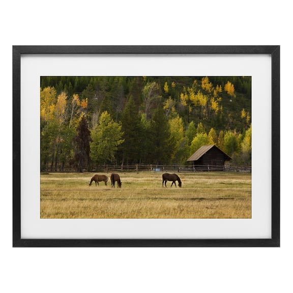 Stupell Industries Rustic Lodge Horses In Jackson Hole Black Framed Print Under Glass, 20 x 14, by Scott Stulberg