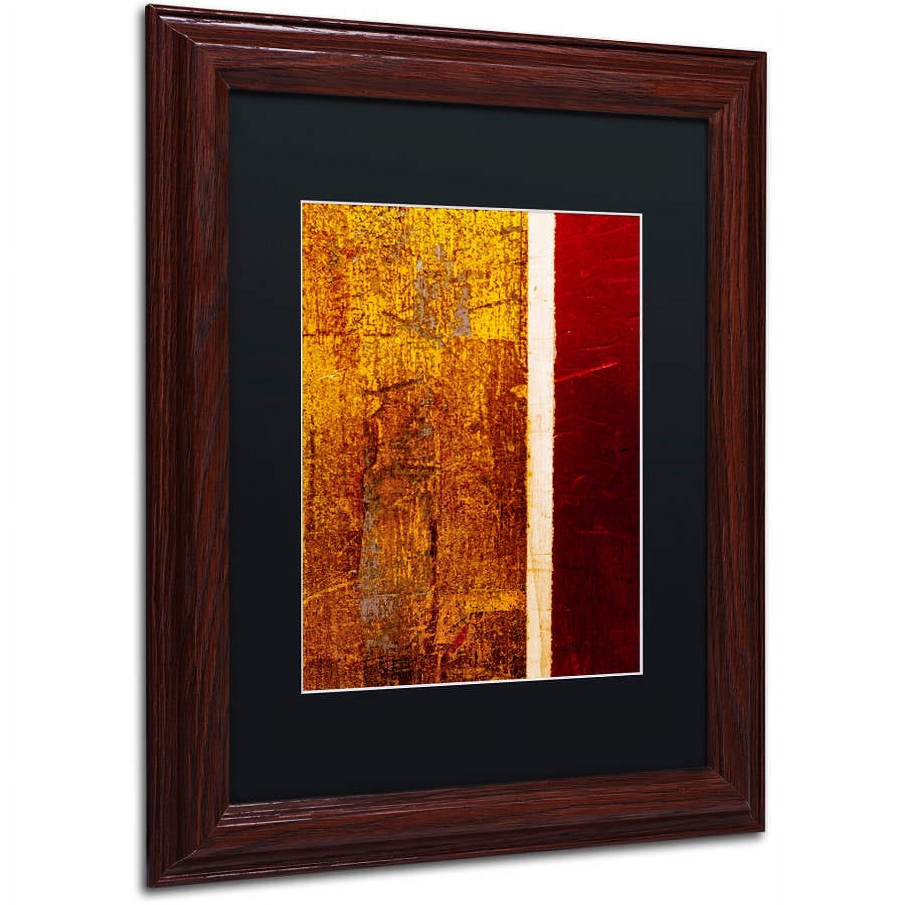 Trademark Fine Art "Gold Flakes" Canvas Art by Claire Doherty, Black Matte, Wood Frame