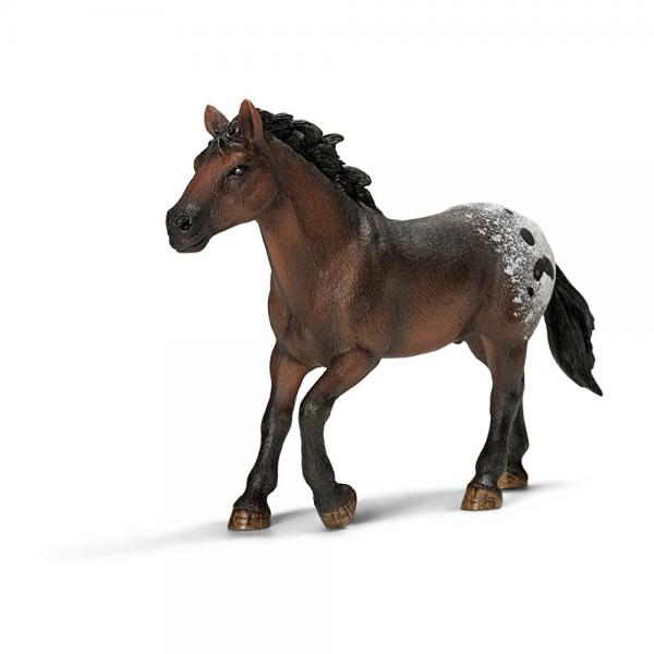 schleich appaloosa foal