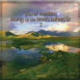 thumbnail image 2 of Song Of The Irish Whistle, Vol, 2 of 3