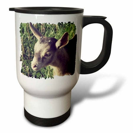 

Dairy Goat Billy Kid Photographed by Angelandspot 14oz Stainless Steel Travel Mug tm-8453-1