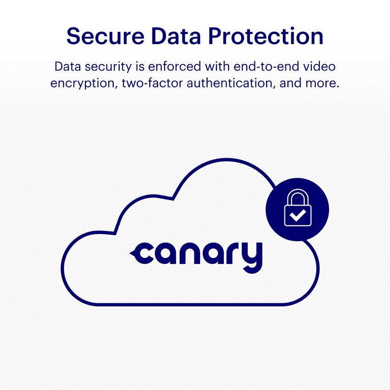 Canary flex best sale walmart