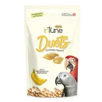 Intune Duets Treats For Parrots And Macaws Banana 3oz.