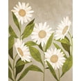 thumbnail image 2 of Allen, Kimberly 12x14 Gold Ornate Wood Framed with Double Matting Museum Art Print Titled - Daisies 2, 2 of 4