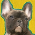thumbnail image 2 of Kimberly, Allen 15x15 Black Ornate Wood Framed with Double Matting Museum Art Print Titled - French Bulldog 2, 2 of 4