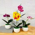 thumbnail image 1 of Gwong Decoración hogareña 1 set Fake Bonsai Realistic Antid Fade Faux Silk Flow Flexi Party Fake Butterfly Orchid Flowers Plant For Decorating Gwong 21068071, 1 of 6