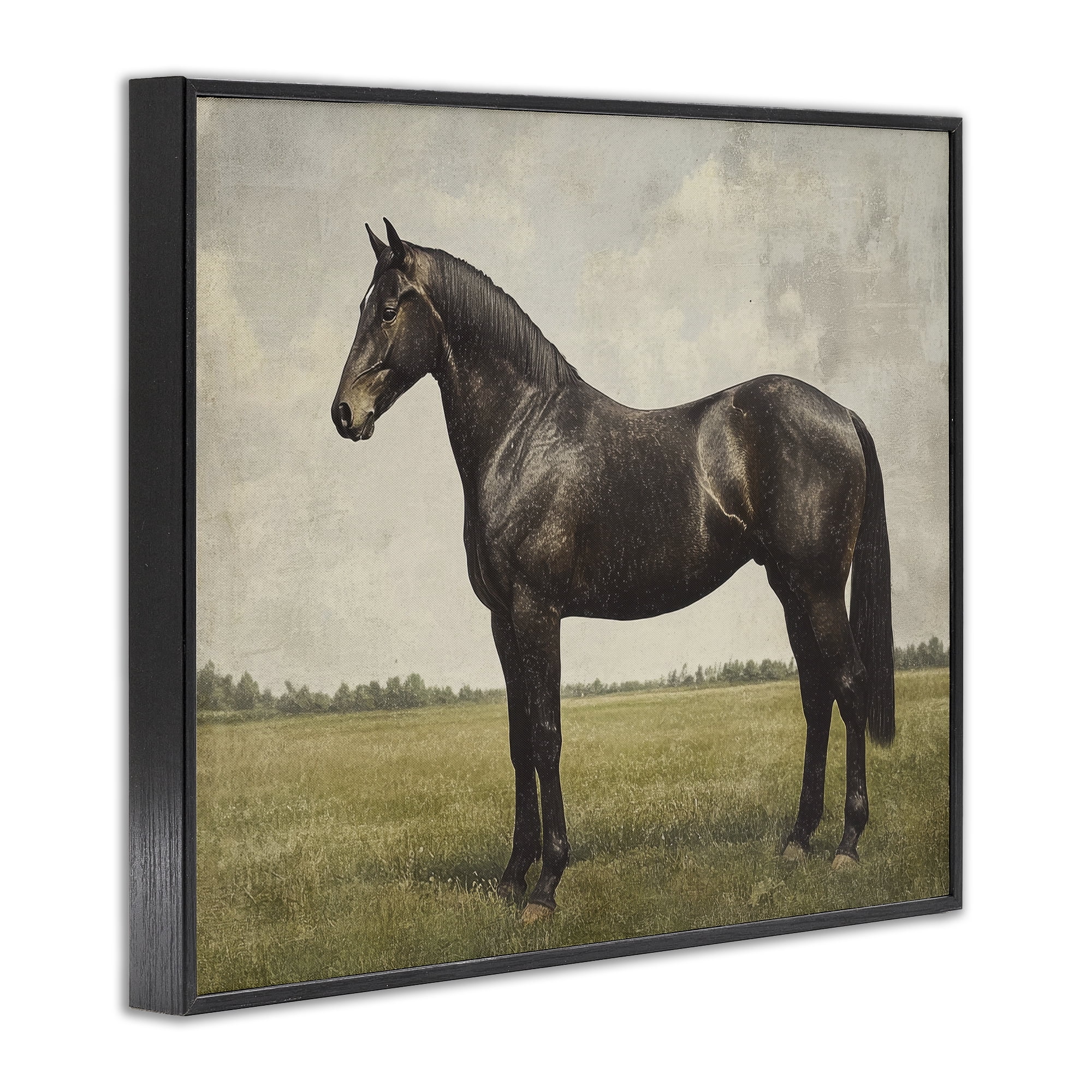 Stupell Industries Espresso Horse in Pastoral Field Black Framed Giclee Art, design by Petal Prints Design