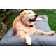 thumbnail image 2 of Cama Fresca para Perro grande para exterior, jardín o terraza. Cama para mascota refrescante, resistente, transpirable, impermeable. Funda extraíble con base antiderrapante. (GRIS, EXTRA GRANDE), 2 of 6
