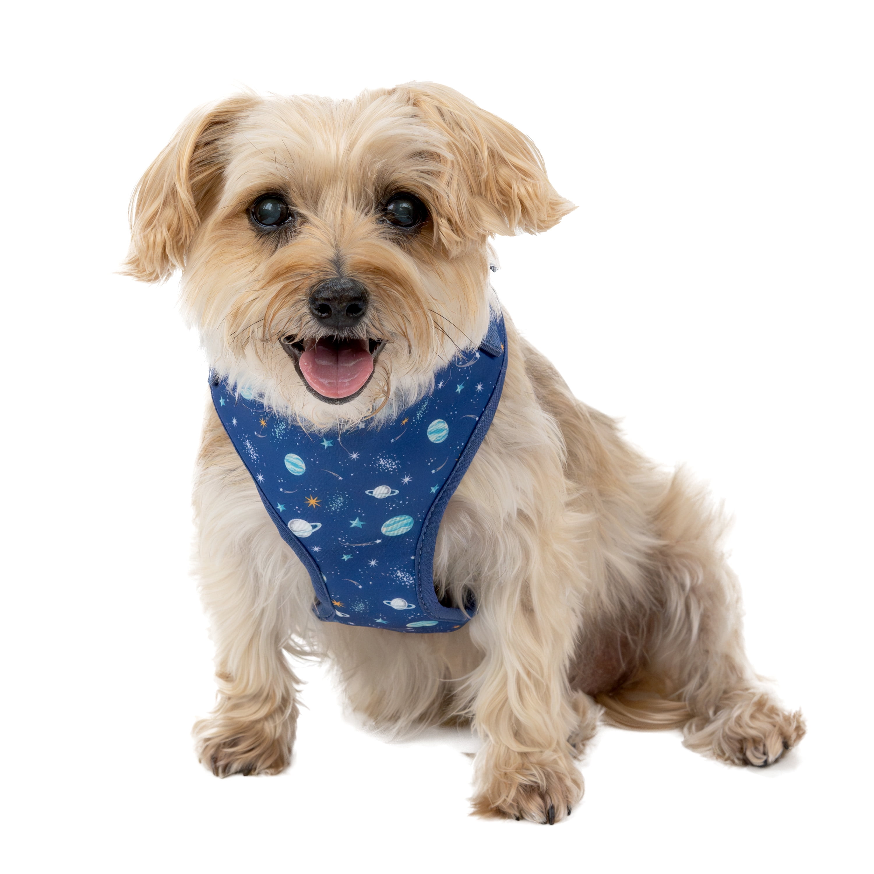 Vibrant Life 80064469 Polyester & Spandex Space Adventures Adjustable Dog Harness, Blue, Small