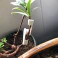 thumbnail image 2 of 30 Pcs 360 Degree Adjustable Angle Plant Growth Clips Plant Stem Trainer Clips Plant Branches Bender For Low Stress Trainer Plants, 2 of 8