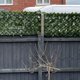 thumbnail image 4 of Valla de privacidad para jardín con hojas artificiales, 1 x 3 m, pared de plantas de seto artificial, valla decorativa para balcón, interior y exterior, 4 of 4