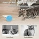 thumbnail image 5 of Juguetes interactivos para gatos de interior, juguetes para gatitos, juguete automático para gatos con luces LED de colores, juguetes eléctricos inteligentes para gatos, juguetes para ratones de gato,, 5 of 5