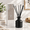 Eucalyptus, variant on Reed Diffuser Set Mist & Sea Salt Fragrance 100ml