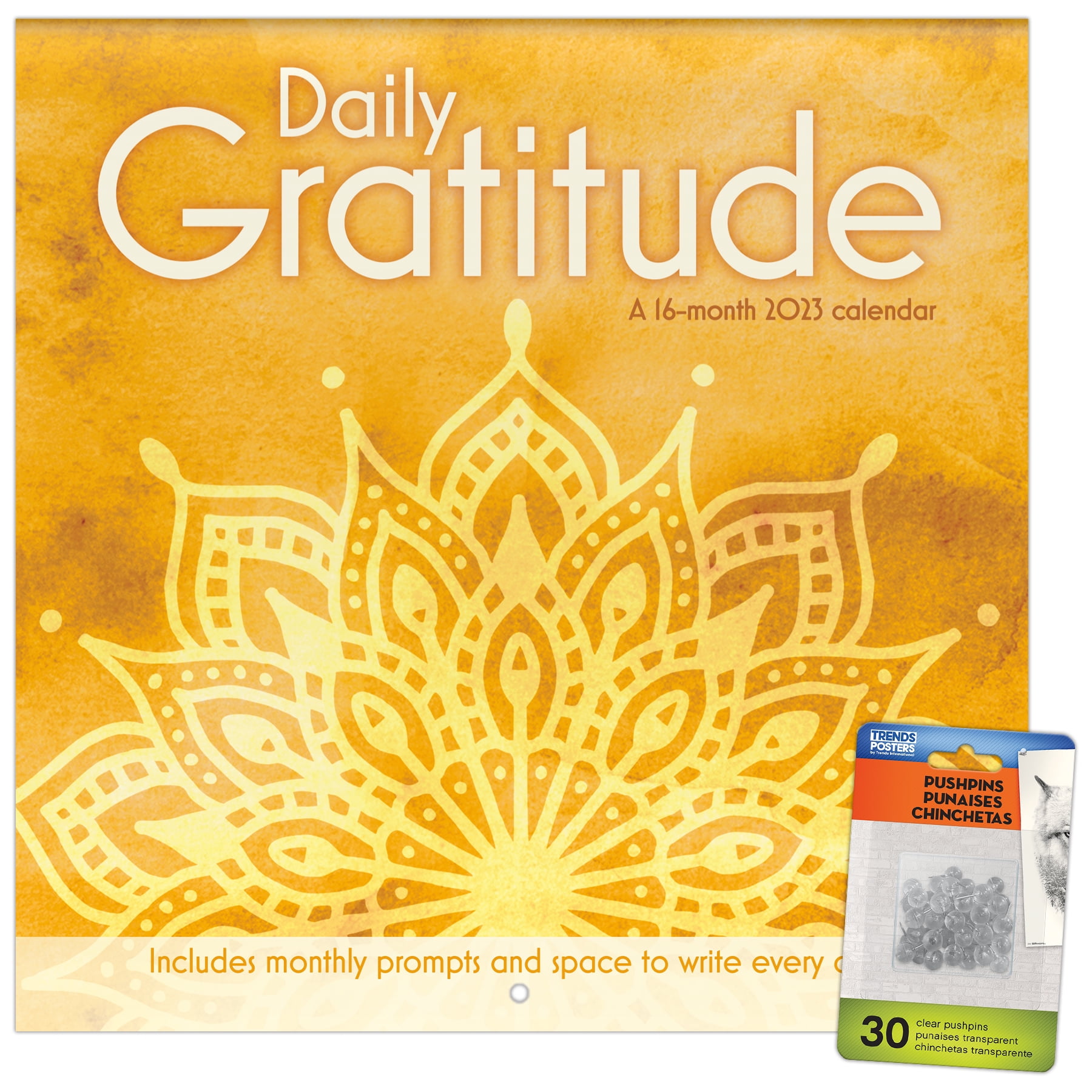 Trends International 2023 Daily Gratitude Wall Calendar & Pushpins
