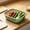 Green, variant on Plastic Rectangular Storage Basket 12x9 Inch Vegetable Produce Holder Green