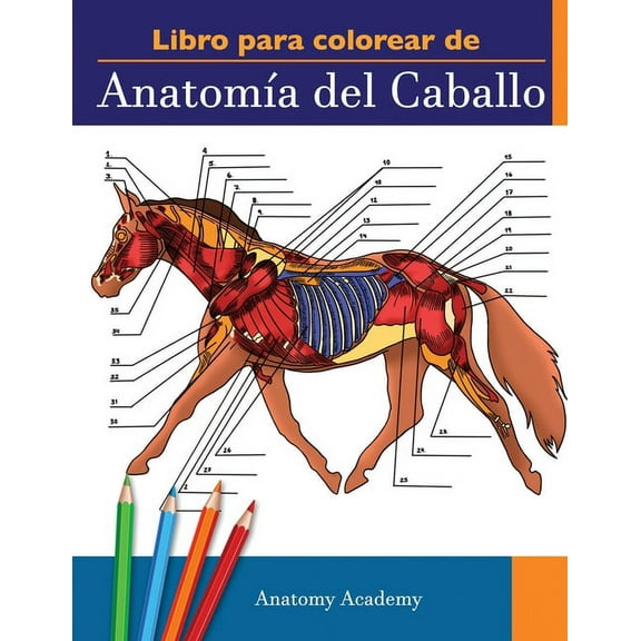 Libro para colorear de Anatomía del Caballo: Libro de Colores de Autoevaluación muy Detallado de la Anatomía Equina El R, (Paperback)