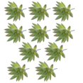 thumbnail image 1 of 10 x Succulenta Artificial Decoración de Hogar Jardín Oficina Materiales de Bricoje DIY de Plástico Baoblaze Planta Succulenta Artificial, 1 of 6