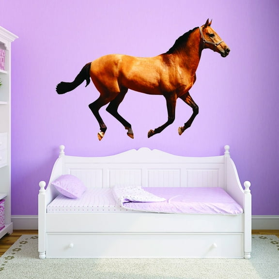 VWAQ Peel and Stick Horse Vinyl Wall Decals - Pony Wall Sticker - Stallion Wall Art Decor - PAS22 (16"H x 24"W)