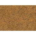 thumbnail image 1 of Ahgly Company Indoor Rectangle Patterned Carrot Orange Area Rugs, 3' x 5', 1 of 1