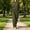 Army Green women's 2 piece set a1, variant on Usloyux Women's 2 Piece Set Round Neck Long Sleeve Pullover Top and Wide Leg Pants Matching Lounge Outfits Solid Basic Tracksuit, Gray M