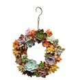 thumbnail image 3 of Iron Wire Wreath Succulent Pot Metal Hanging Planter Plant Holder, 3 of 9