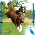 thumbnail image 2 of Silbato/clicker 2 en 1 para perros, clicker de entrenamiento con correa para la muñeca y botón grande para entrenar y educar perros, gatos o caballos, 3 colores., 2 of 5