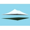 Party Tents Direct Sectional Wedding Canopy Tent Top ONLY, 40' x 60'