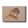 thumbnail image 1 of Epic Graffiti 'Cougar' by Barbara Keith, Canvas Wall Art, 40"x26", 1 of 8