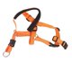 thumbnail image 2 of dog head collar breathable dog head harness dog mouth cover with adjustable strap for outdoor orange l, 2 of 5